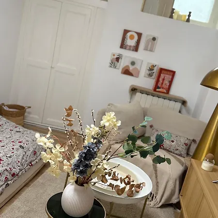 Cocooning Coeur Historique, Charme Et Confort Note 10 Appartement *