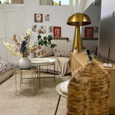 Cocooning Coeur Historique, Charme Et Confort Note 10 Lejlighed